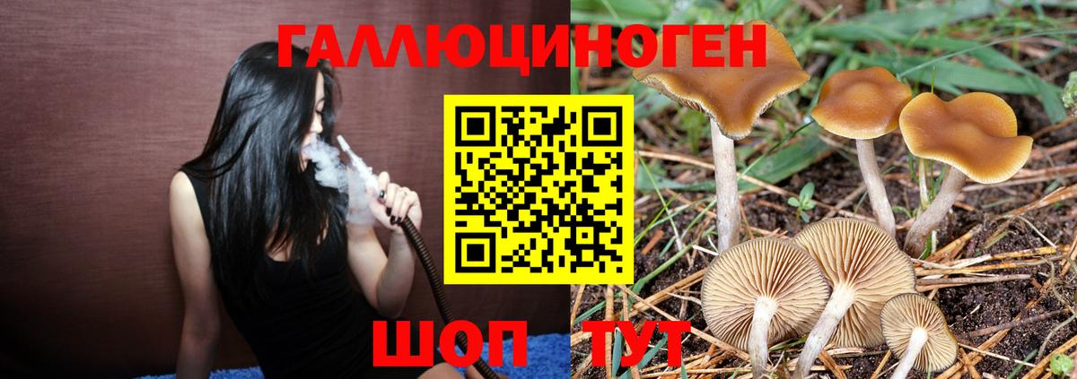 Псилоцибиновые грибы Magic Shrooms  Галлюциногенные грибы MAGIC MUSHROOMS  Вход с VPN  Белово 