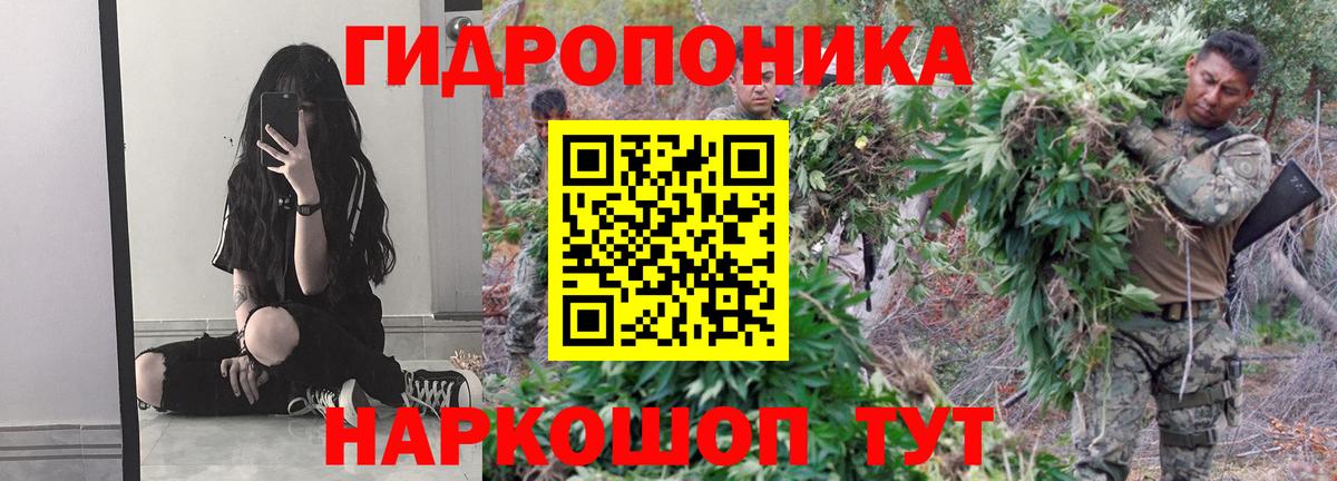 Бошки марихуана ГИДРОПОН  Марихуана конопля  Вход с VPN  Белово 